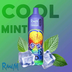 R&M 9000 Puffs Cool Mint - Vape 7 Store