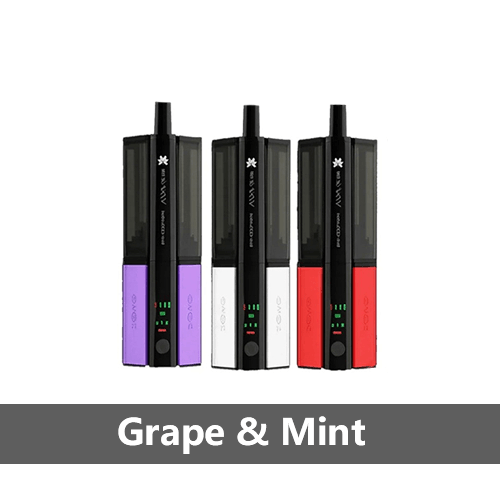 Hayati Shisha 30K Grape and Mint rechargeable pod kit with shisha hookah design