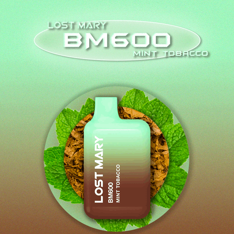 Lost Mary 600 Puffs Mint Tobacco - Vape 7 Store