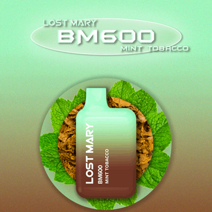 Lost Mary 600 Puffs Mint Tobacco - Vape 7 Store