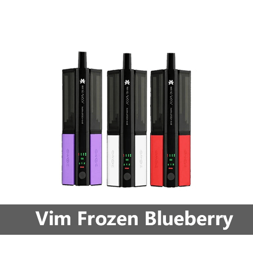 Hayati Shisha 30K Vim Frozen Blueberry aggressive frozen dark berry rechargeable kit