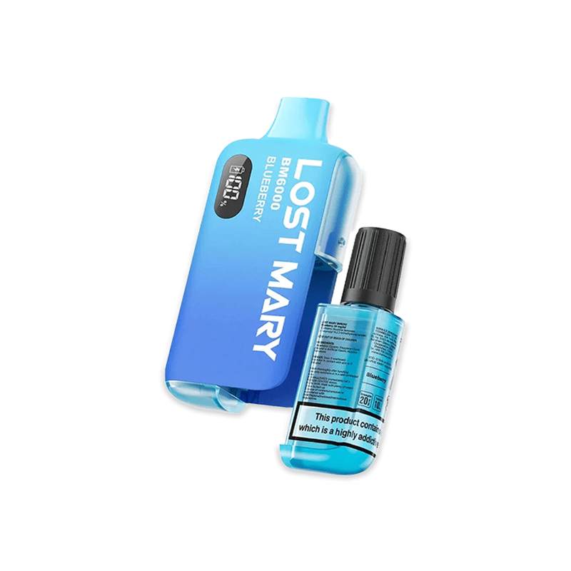 Lost Mary BM6000 Blueberry prefilled pod kit with single-fruit dark blue design